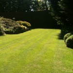 Lawn Maintenance